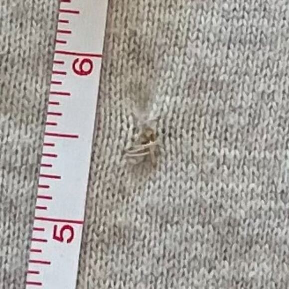 Zara Tan/Neutral Cotton/Angora Blend Long Sleeve Ruffle Open Cardigan Sweater S - Picture 12 of 12